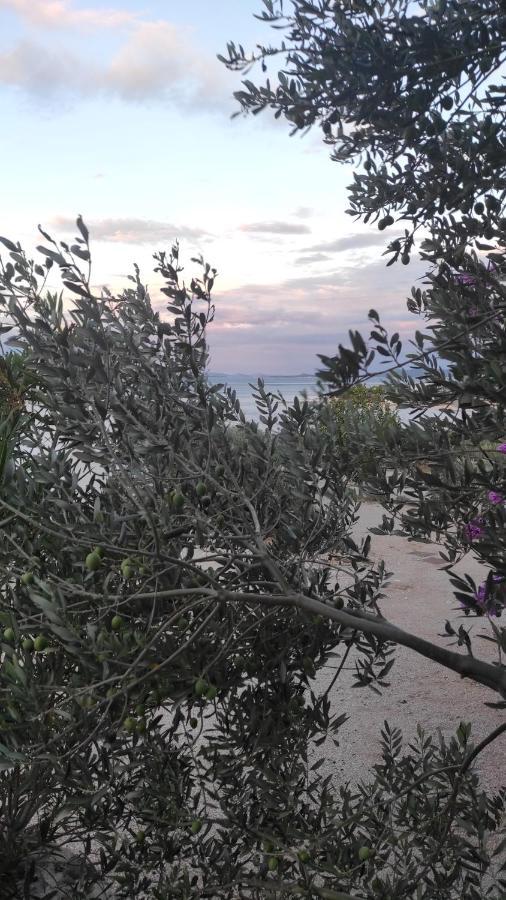 Mobile Home Tiva Drage Bagian luar foto